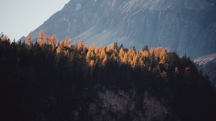 Nature. Desktop wallpaper