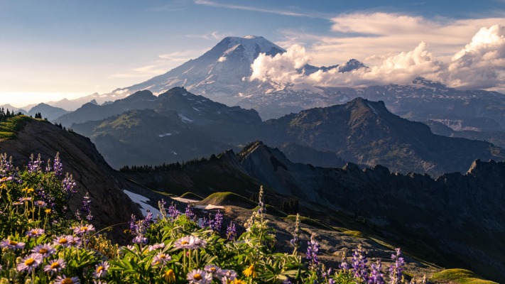 Nature. Desktop wallpaper