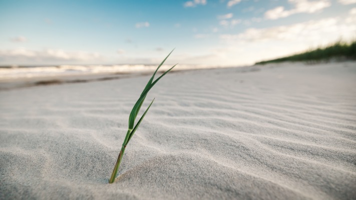 Nature. Desktop wallpaper