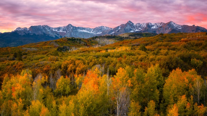 Nature. Desktop wallpaper