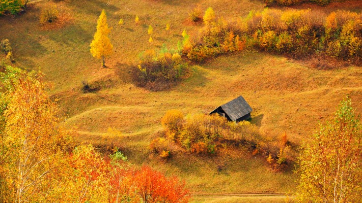 Nature. Desktop wallpaper