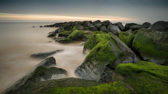 Nature. Desktop wallpaper