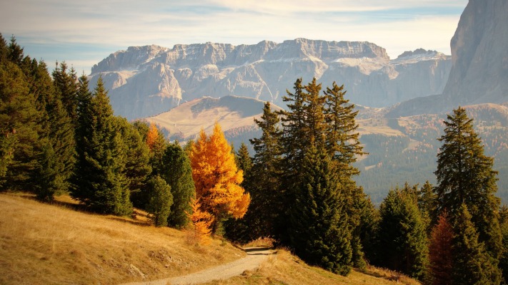 Nature. Desktop wallpaper