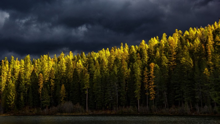 Nature. Desktop wallpaper