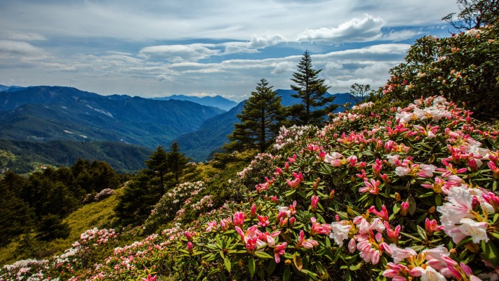 Nature. Desktop wallpaper