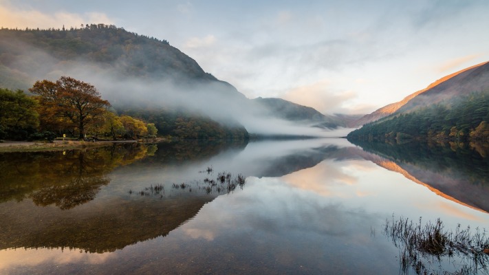 Nature. Desktop wallpaper