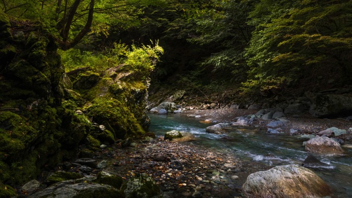 Nature. Desktop wallpaper