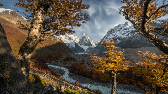 Nature. Desktop wallpaper