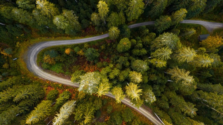 Nature. Desktop wallpaper