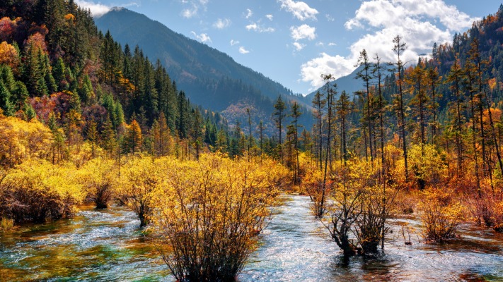 Nature. Desktop wallpaper