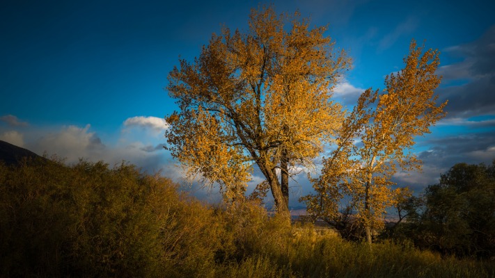 Nature. Desktop wallpaper