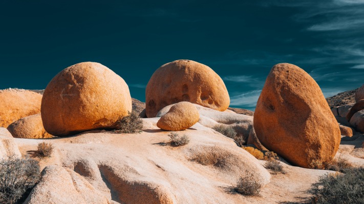 Nature. Desktop wallpaper