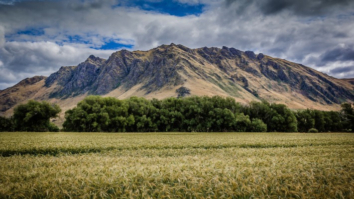 Nature. Desktop wallpaper