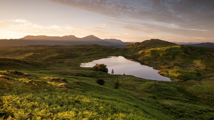 Nature. Desktop wallpaper