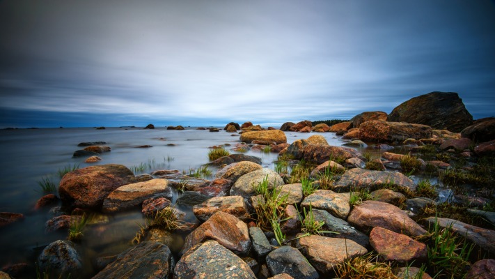 Nature. Desktop wallpaper