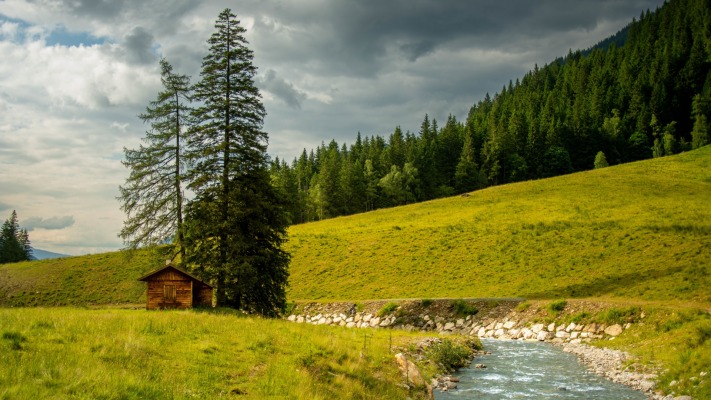 Nature. Desktop wallpaper