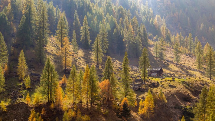 Nature. Desktop wallpaper