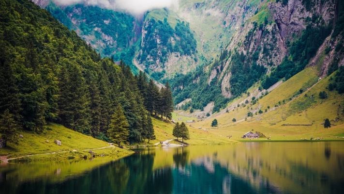 Nature. Desktop wallpaper