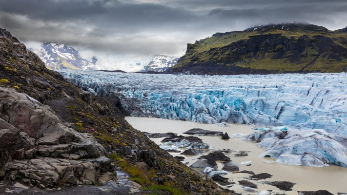 Nature. Desktop wallpaper