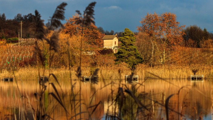 Nature. Desktop wallpaper