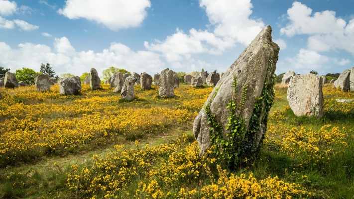 Nature. Desktop wallpaper