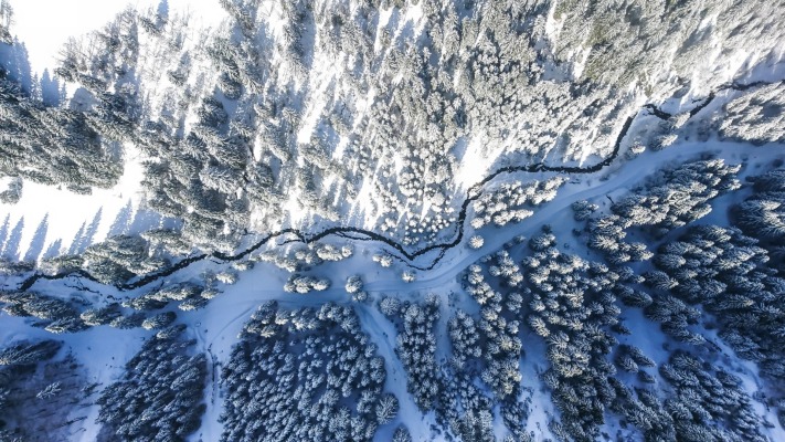 Nature. Desktop wallpaper