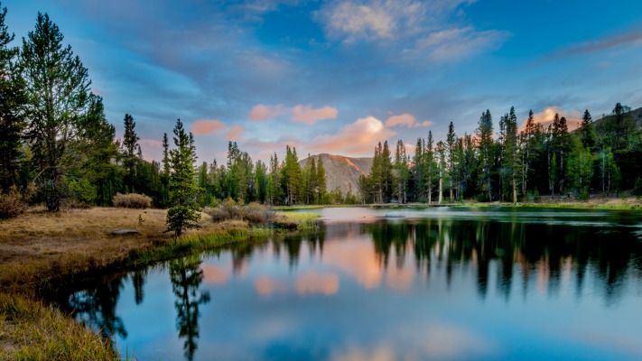 Nature. Desktop wallpaper