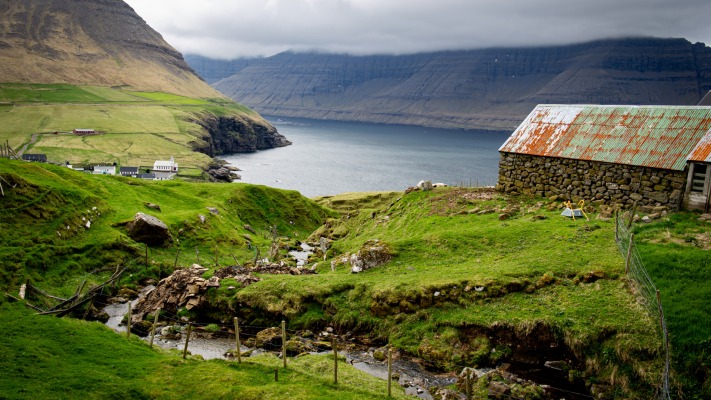 Nature. Desktop wallpaper