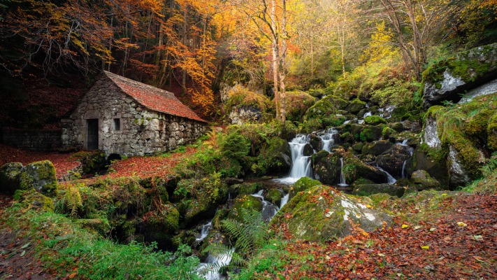 Nature. Desktop wallpaper