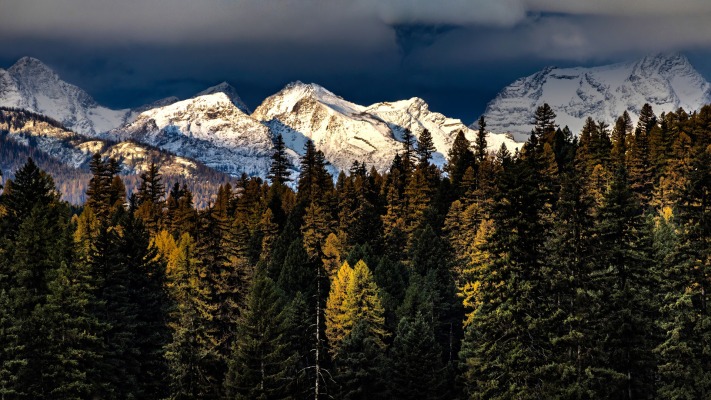 Nature. Desktop wallpaper
