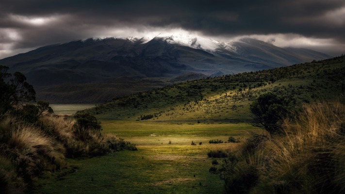 Nature. Desktop wallpaper