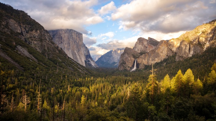 Nature. Desktop wallpaper