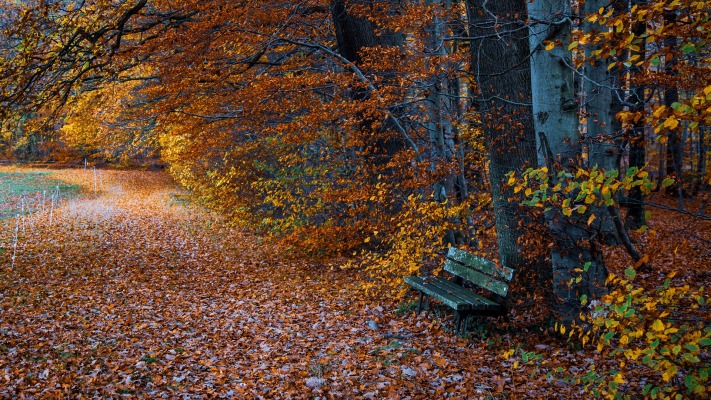 Nature. Desktop wallpaper