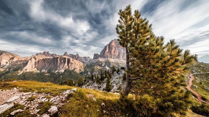 Nature. Desktop wallpaper