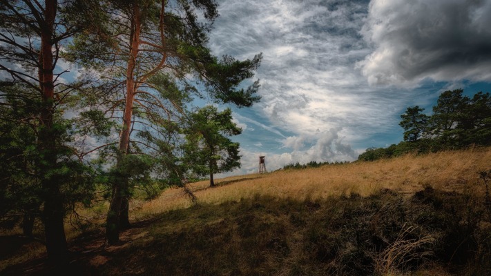 Nature. Desktop wallpaper