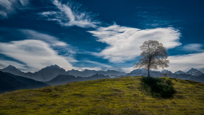 Nature. Desktop wallpaper