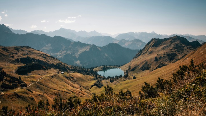 Nature. Desktop wallpaper