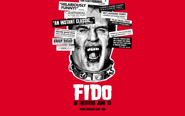 Fido. Desktop wallpaper