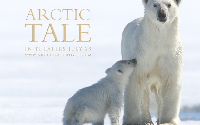 Arctic Tale. Desktop wallpaper