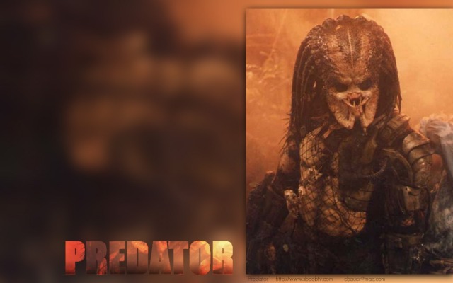 Predator. Desktop wallpaper