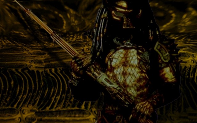 Predator. Desktop wallpaper