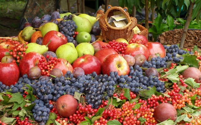 Fruits. Desktop wallpaper