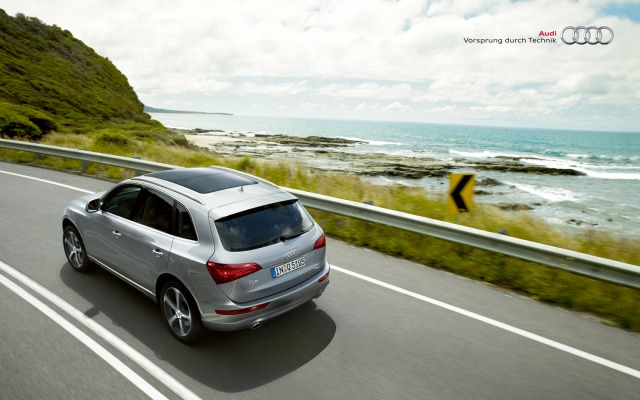 Audi Q5 2013. Desktop wallpaper