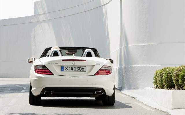 Mercedes-Benz SLK 250 CDI 2012. Desktop wallpaper