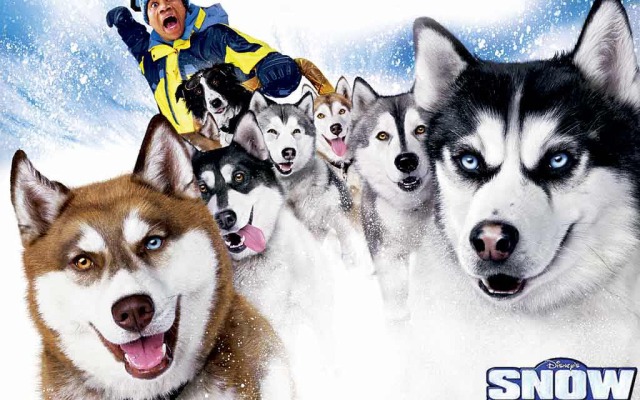 Snow Dogs. Desktop wallpaper