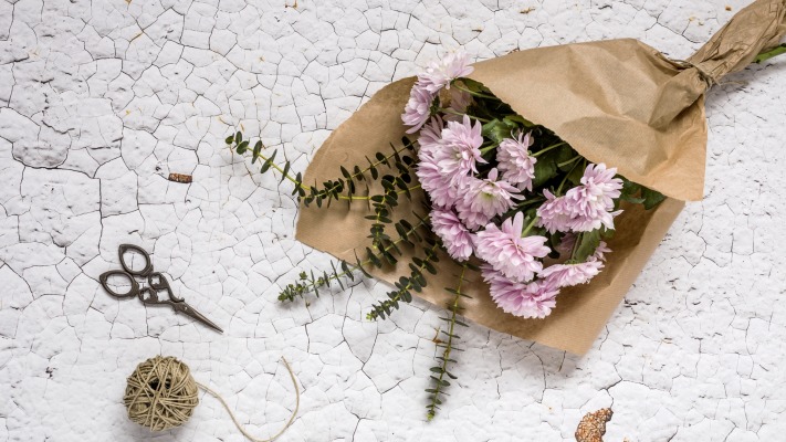 Flowers. Desktop wallpaper