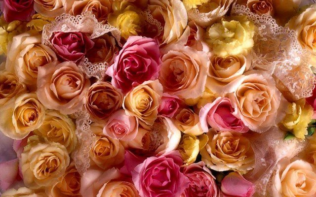Open Flowers wallpaper in full resolution Flowers. Desktop wallpaper