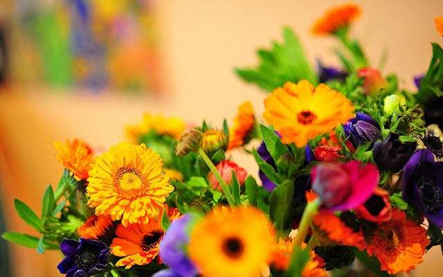 Flowers. Desktop wallpaper