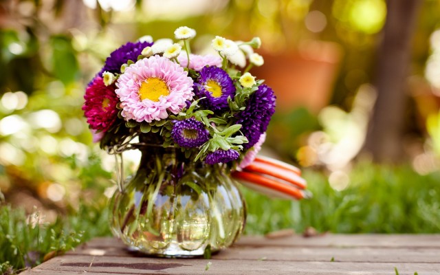 Flowers. Desktop wallpaper