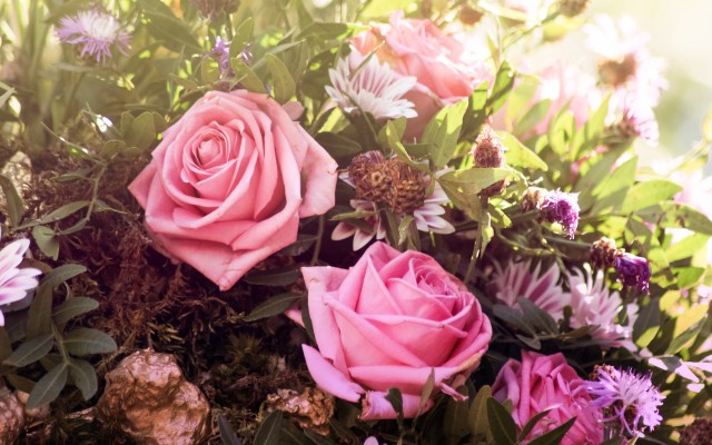 Flowers. Desktop wallpaper